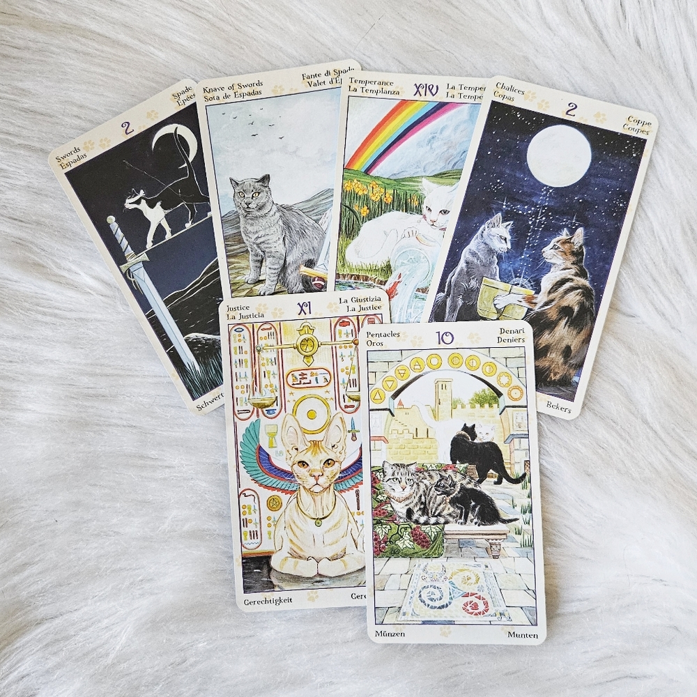 Tarot Reading! 🔮 - Picture 6 of 15